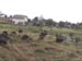 08RozhCemeteryNew