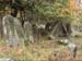09RozhCemeteryNew