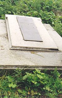 Plaque