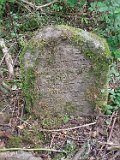 Ruske-Pole-tstone-111