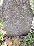Ruski-Komarivtse-stone-005