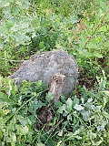 Ruski-Komarivtse-stone-035
