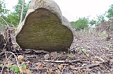 Ruski-Komarivtse-stone-049