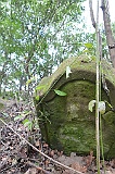 Ruski-Komarivtse-stone-070