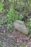 Ruski-Komarivtse-stone-078