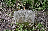 Ruski-Komarivtse-stone-084
