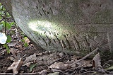 Ruski-Komarivtse-stone-159