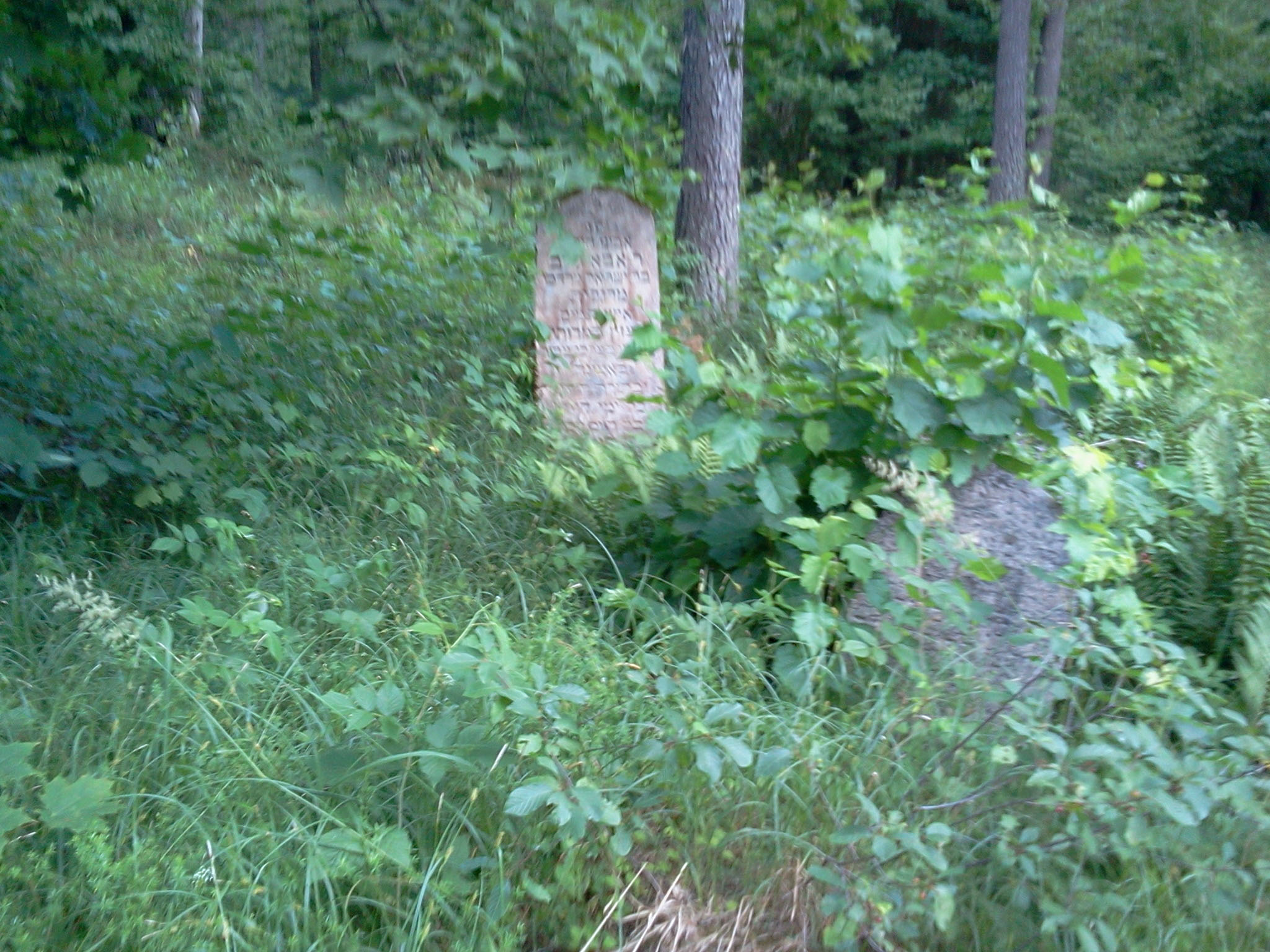 cemetery2