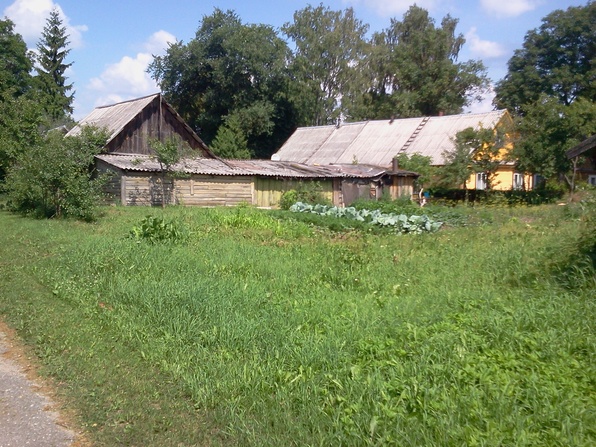 garden