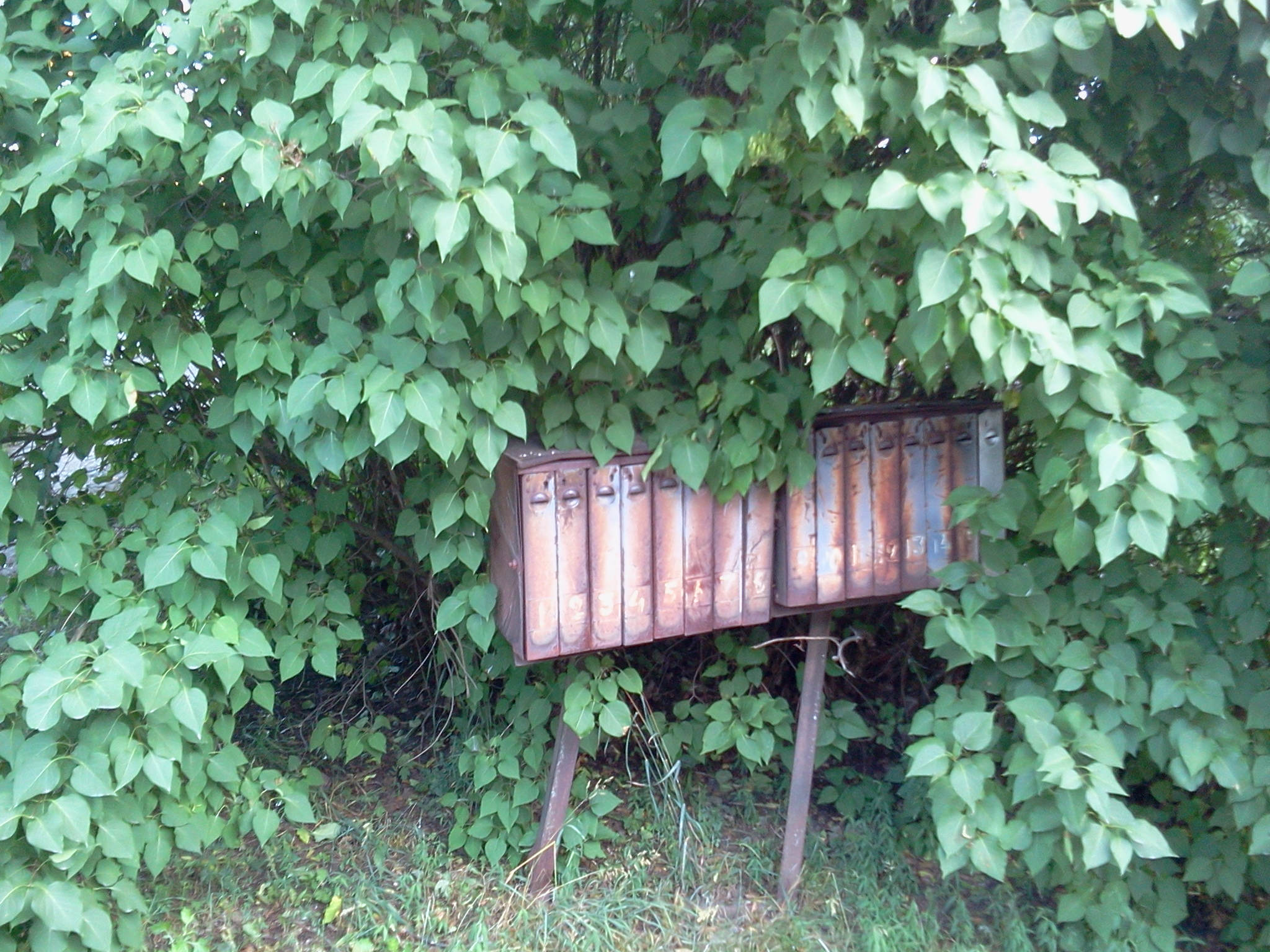 mailbox 2