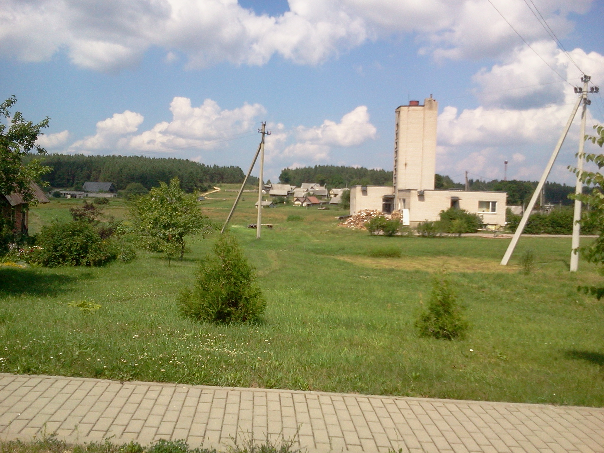 view