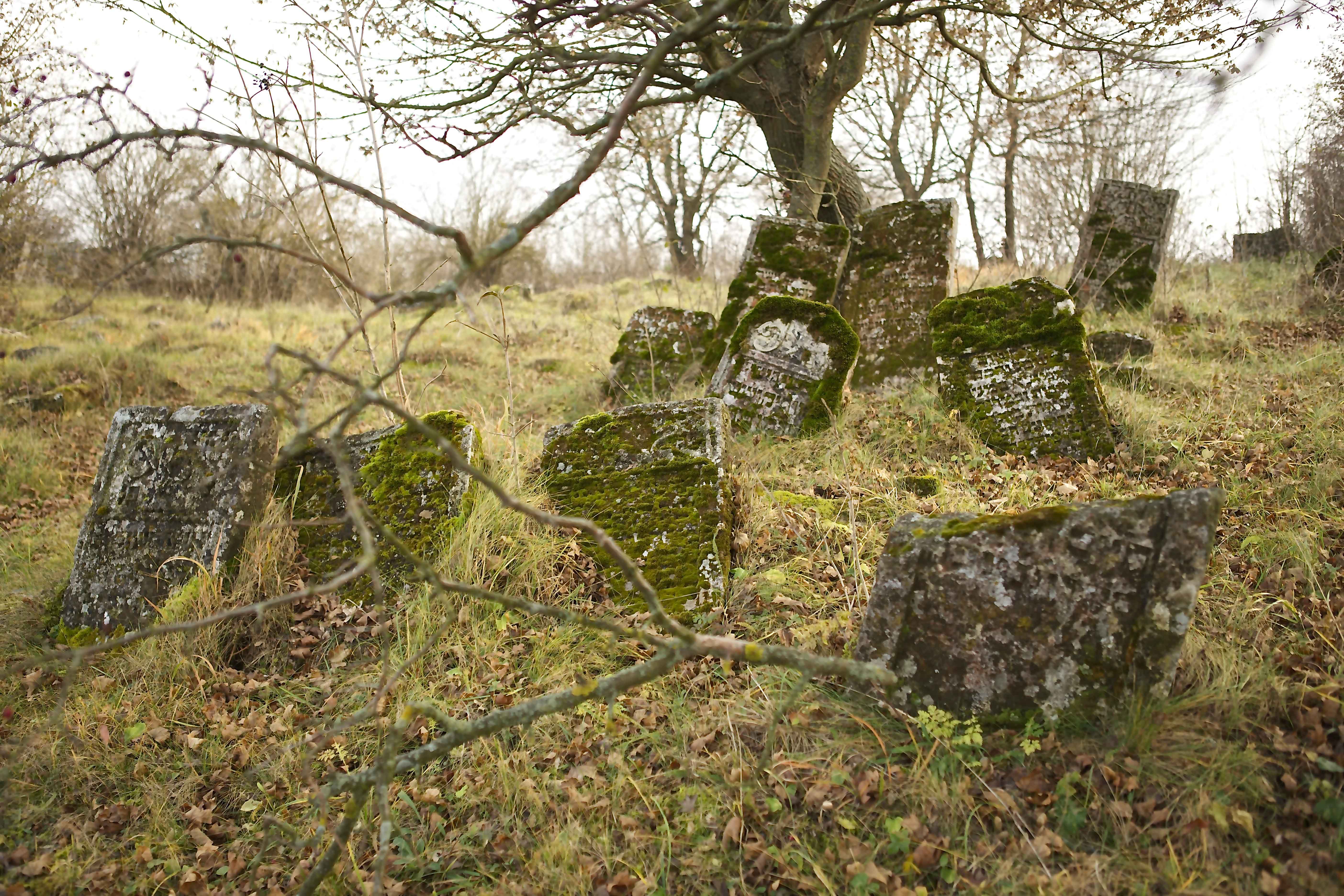 Satanov, old Jewish Cemetary
