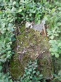 Serednye-Vodyane-tstone-096