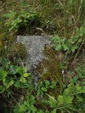 Serednye-Vodyane-tstone-101