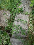 Serednye-Vodyane-tstone-127