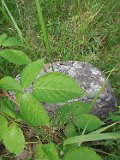 Serednye-Vodyane-tstone-226