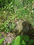 Serednye-Vodyane-tstone-326