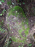 Shalanky-tombstone-renamed-01