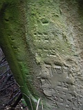 Shalanky-tombstone-renamed-73