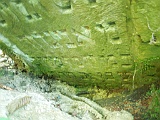 Shiroky-Luh-tombstone-51