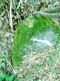 Shiroky-Luh-tombstone-72