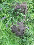 Simer-tombstone-06