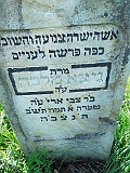 Sokyrnytsia-tombstone-053