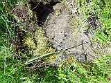 Sokyrnytsia-tombstone-221
