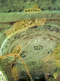 Sokyrnytsia-tombstone-343