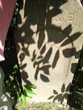 Solotvyno-Old-Cemetery-tombstone-166