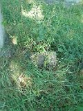 Solotvyno-Old-Cemetery-tombstone-547