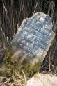 Stare-Davydkovo-Cemetery-001
