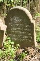 Stare-Davydkovo-Cemetery-010