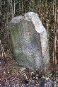 Stare-Davydkovo-Cemetery-036
