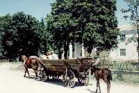 local transportation