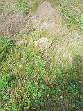 Synevyr-tombstone-059