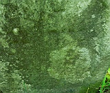 Ternove-tombstone-renamed-109