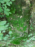 Ternove-tombstone-renamed-169