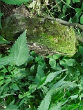 Ternove-tombstone-renamed-181