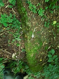 Ternove-tombstone-renamed-255