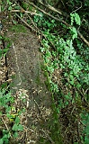 Ternove-tombstone-renamed-256