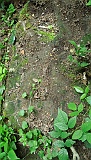 Ternove-tombstone-renamed-287