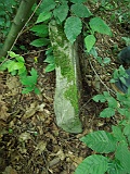 Ternove-tombstone-renamed-298