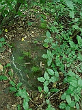 Ternove-tombstone-renamed-308