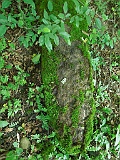 Ternove-tombstone-renamed-314
