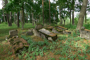 cemetery, 2018