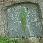 Chaim Tzvi