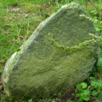 Tishri 1884