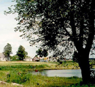 pond
