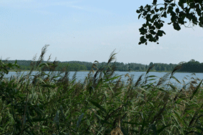 Viešintos Lake